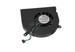 Fan, Right