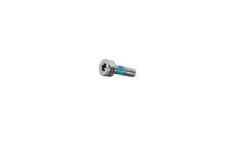 Screw, T-10, SKT, Pkg. of 5 (Door hinge)