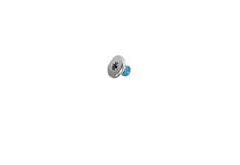 Screw, T-10, LCD counterbalance weight to panel shield , Pkg. of 5